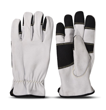 Gloves-3-580-1