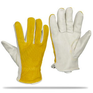 DRIVER GLOVES (1)