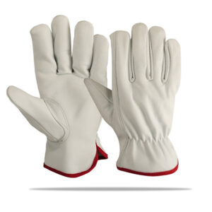 DRIVER GLOVES (2)