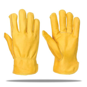 DRIVER GLOVES (3)